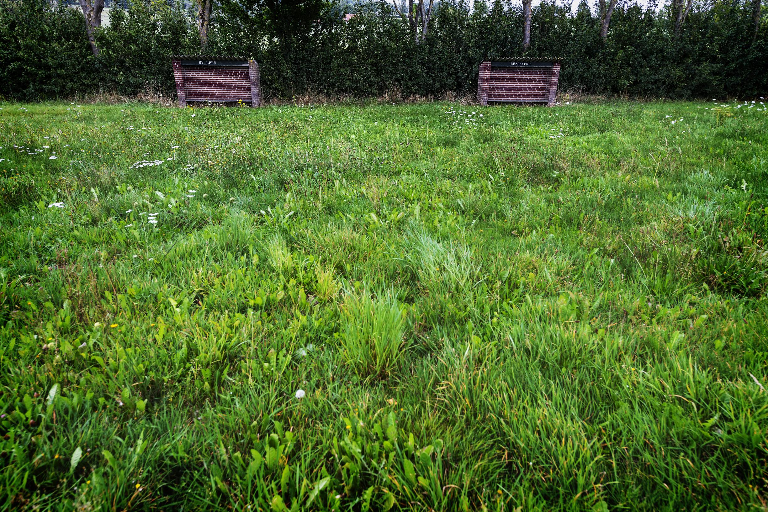 Voetbalterrein in Epen wordt ingericht als natuurgebied